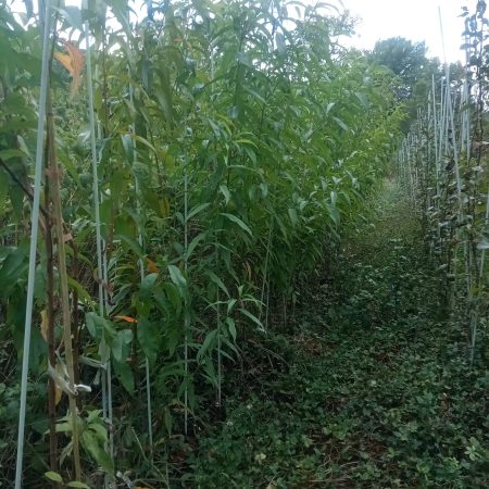 IMG_20250828_140634_780